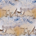 paint peeling